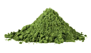 Quercetina